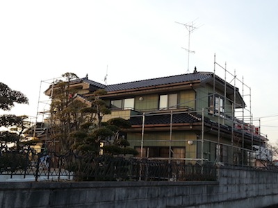 レップ