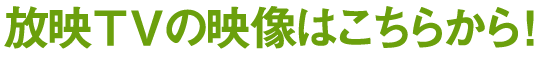 放映されたTVの映像はこちら!!