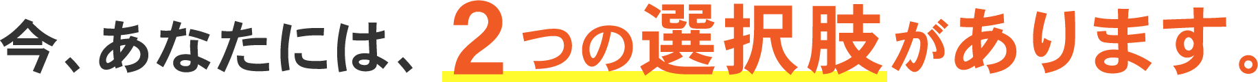今、あなたには、２つの選択肢があります。
