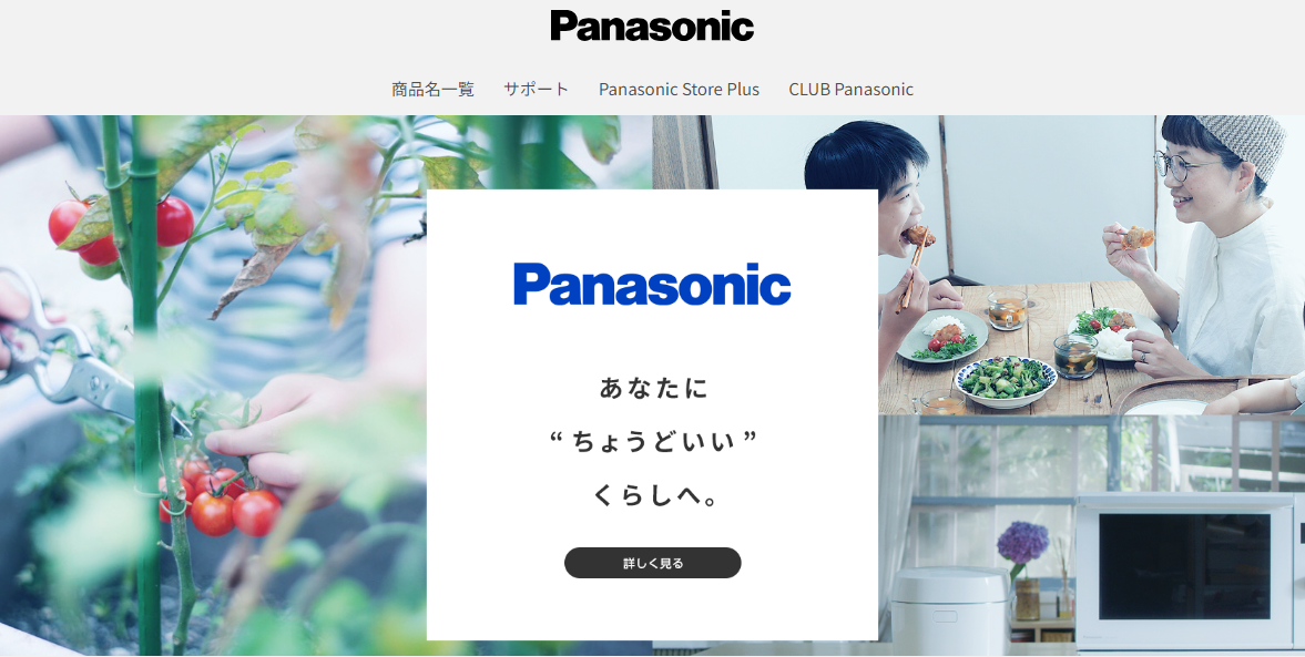 パナソニックの概要