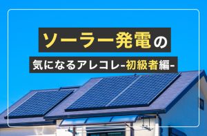 エネルギーバラ売り(欲しいエネルギーを出品させていただきます